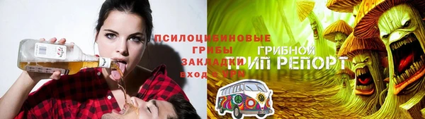 ALPHA PVP Гусев
