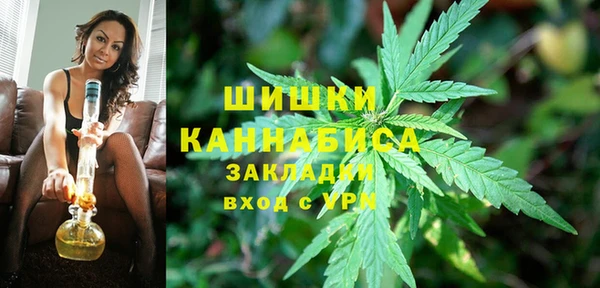 ALPHA PVP Гусев