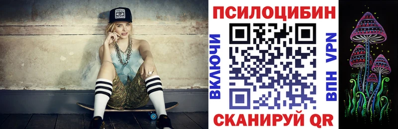 Купить где  Нижняя Салда  Галлюциногенные грибы Psilocybe 